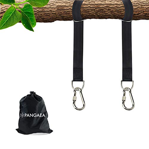 Tree Swing Hanging Straps Kit, Heavy Duty Holds 2200LBS 5FT...