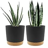 QCQHDU Plant Pots Set of 2 Pack 8 inch,Planters for Indoor...