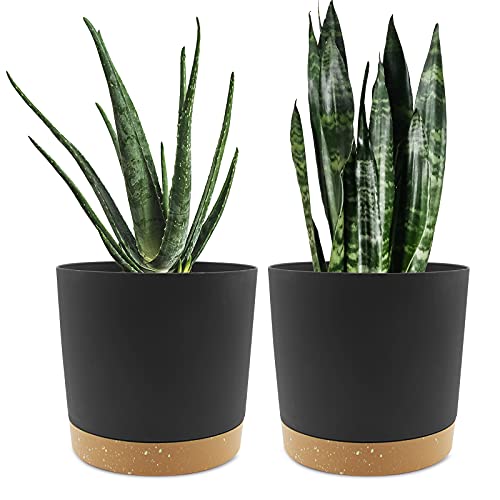 QCQHDU Plant Pots Set of 2 Pack 8 inch,Planters for Indoor...