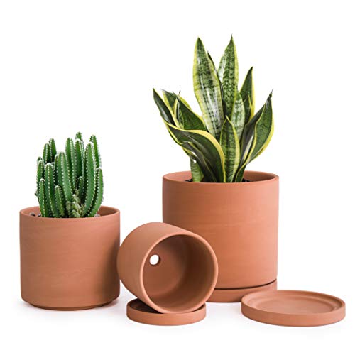 D'vine Dev Terracotta Pots for Plants, 4.2 Inch 5.3 Inch 6.5...