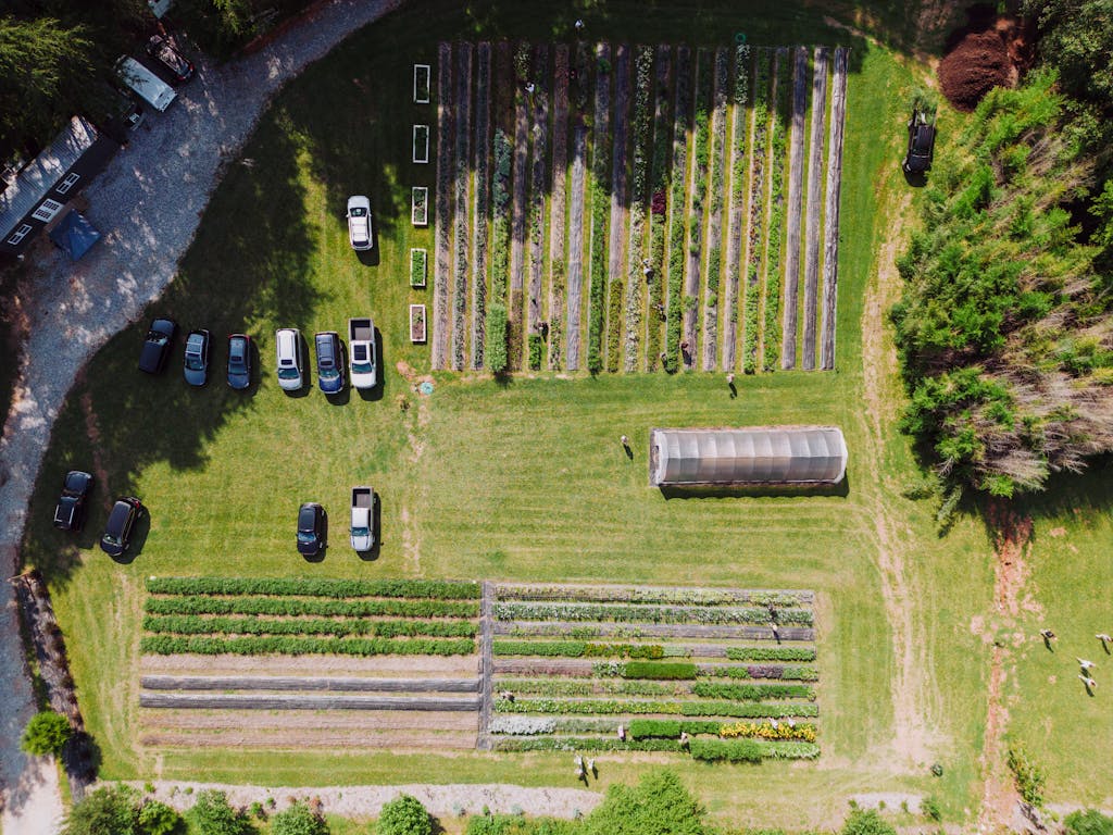 Garden with a variety of vegetables and a Zone 5B map.