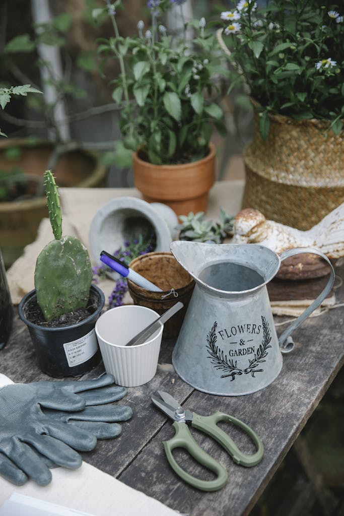 Colorful flower seed packets on a wooden table with gardening tools.