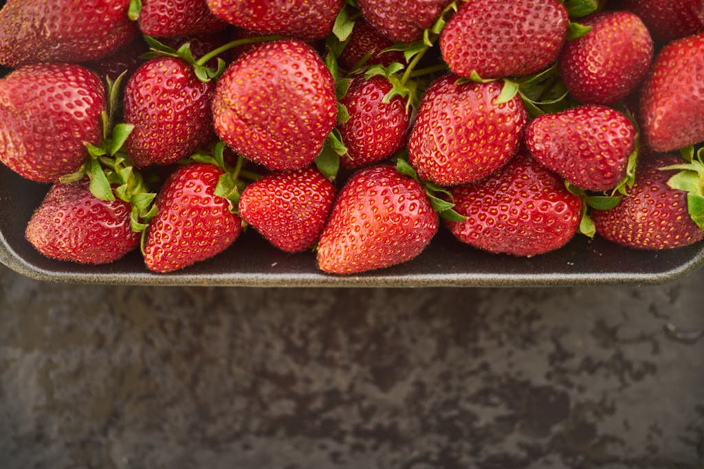 Farmer, sunny field, planting strawberries, 2024 calendar.