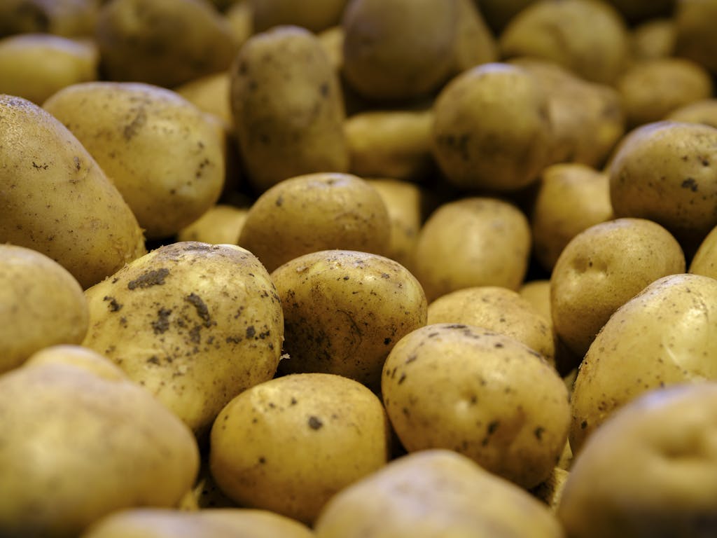 fresh potatoes at the market. when to plant potatoes in zone 9b?