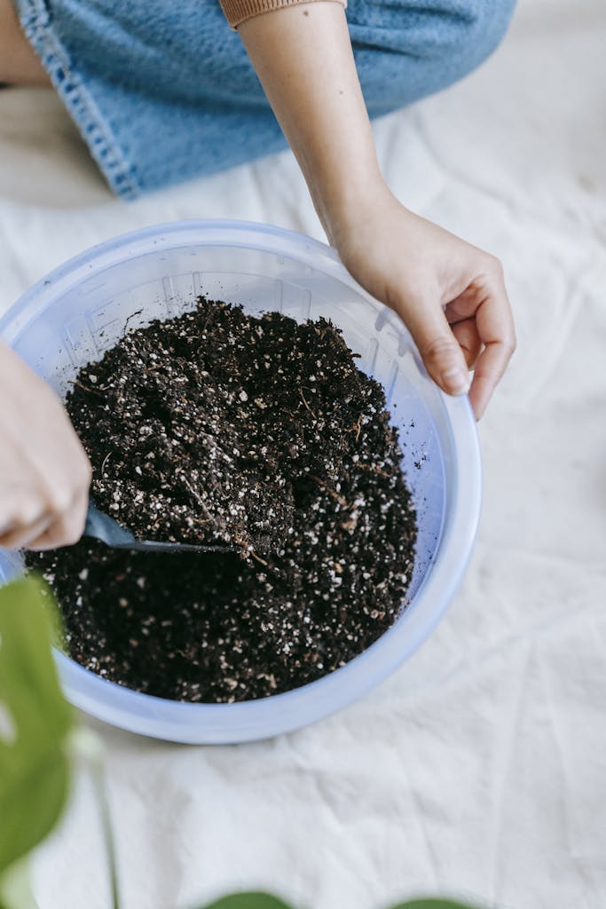 Gardener preparing soil with tools for onion planting.