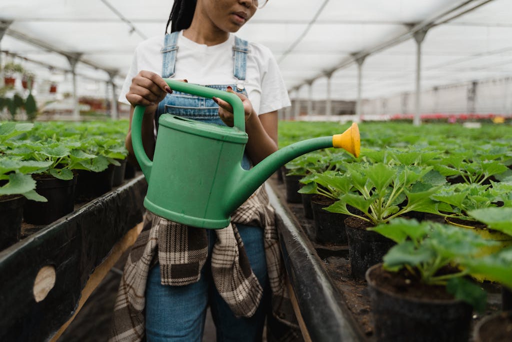 Gardening gloves with loofah seeds, soil, watering can.