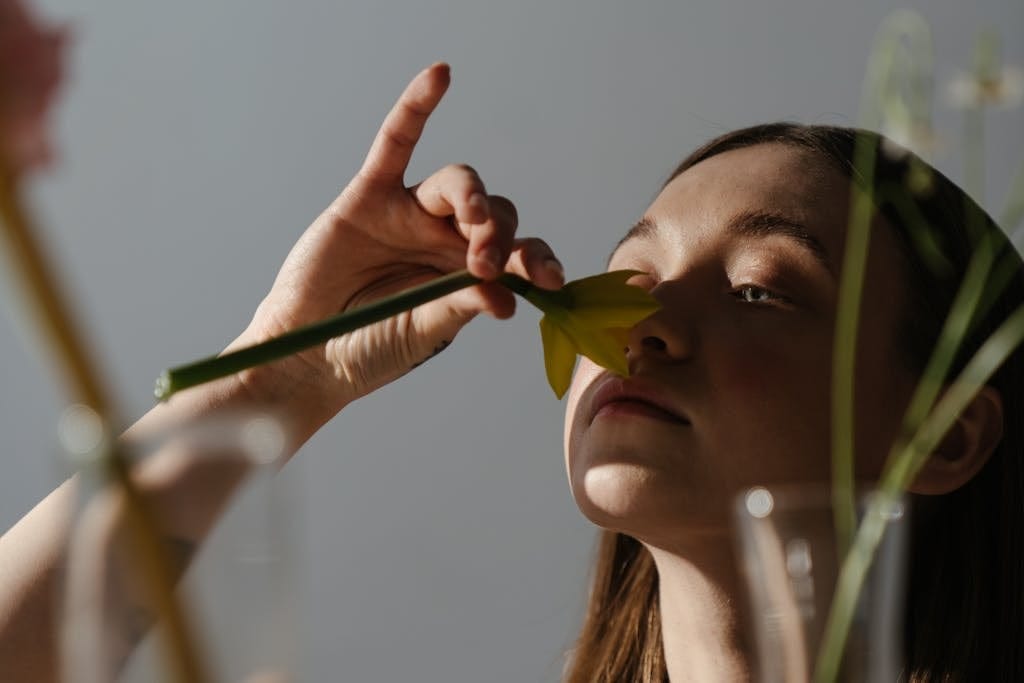 Hand holding daffodil bulb, wilting plant.