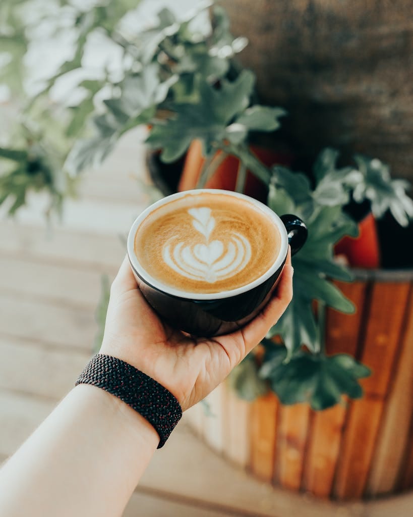 Healthy houseplant in coffee grounds