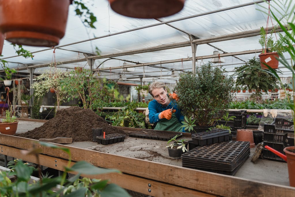 Sunny windowsill with herb seedling trays and gardening tools.