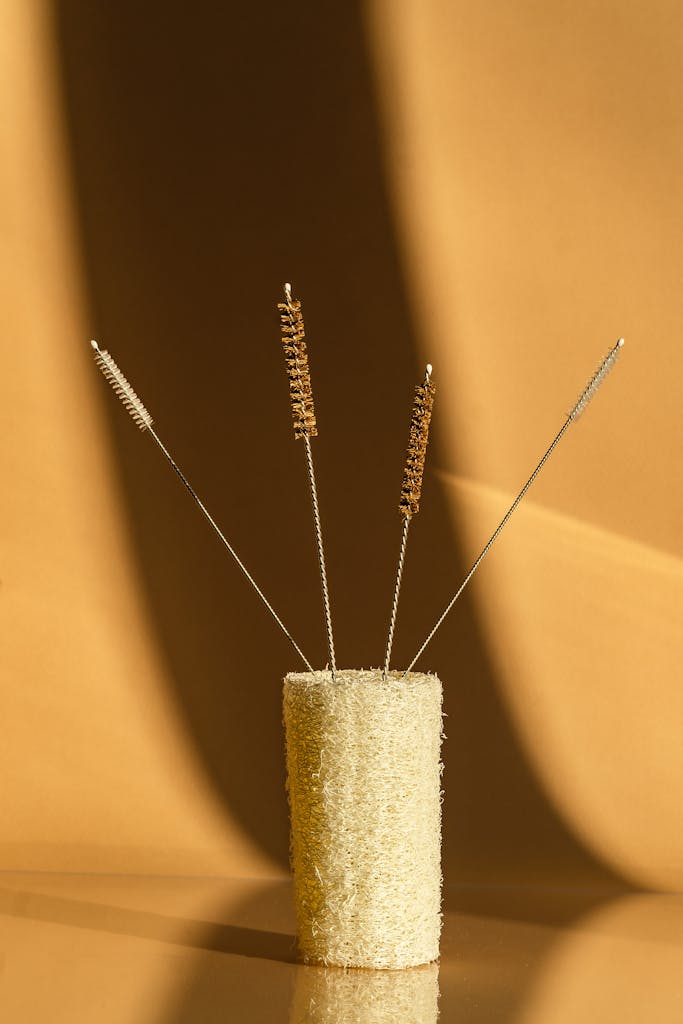 Tiny Cleaning Brushes on a Loofah. when to plant loofah seeds?