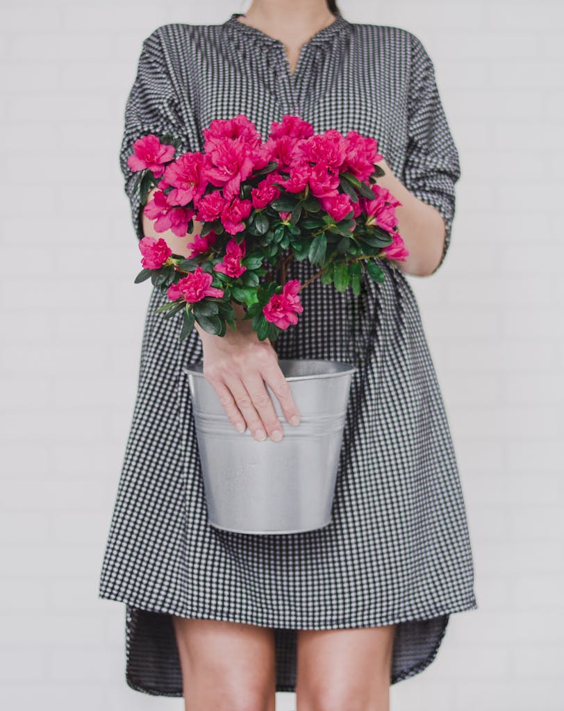 Women's Black and White Midi Dress. when to prune desert rose plants?