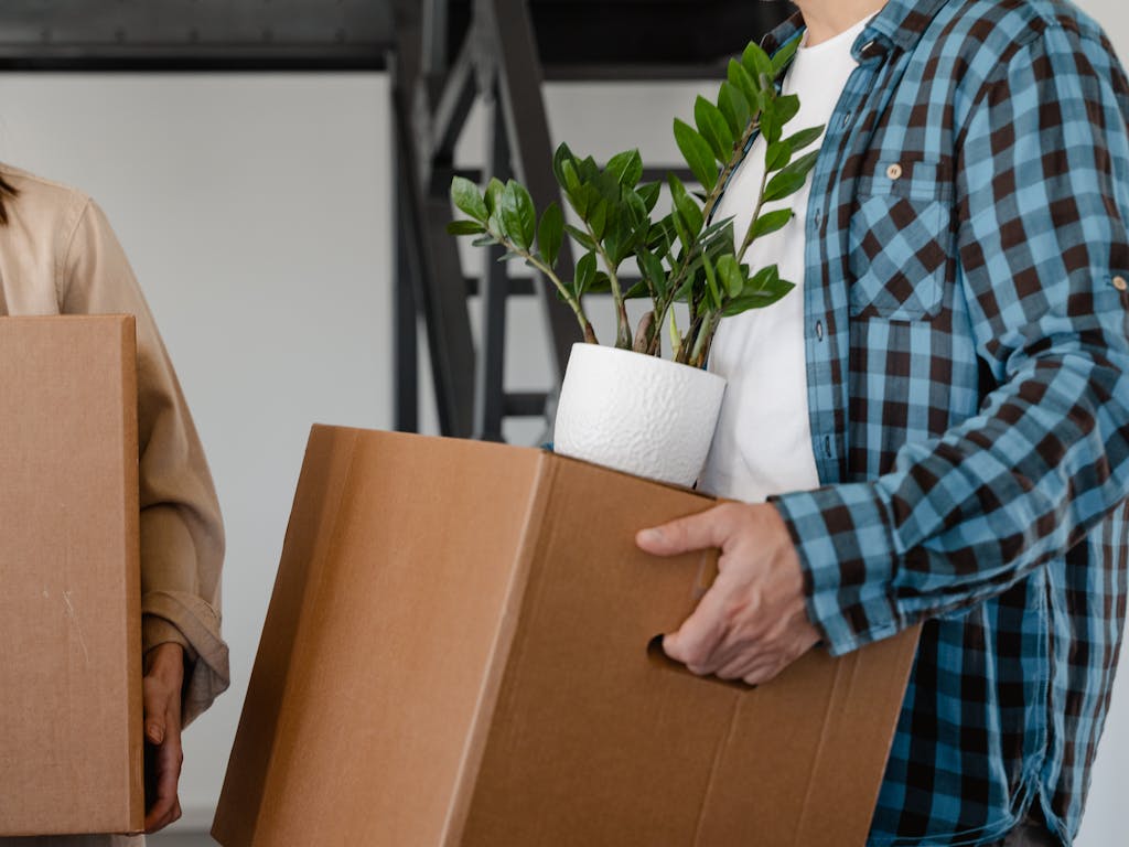 A Person Carrying Brown Cardboard Box with Zz Plant on Top