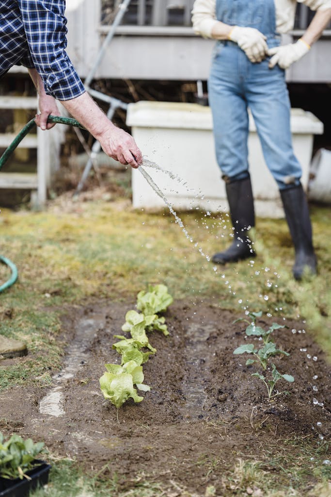 Crop anonymous farmer watering green seedlings on garden bed with hose while standing in countryside with anonymous partner on summer day. 8x raised garden bed planting layout