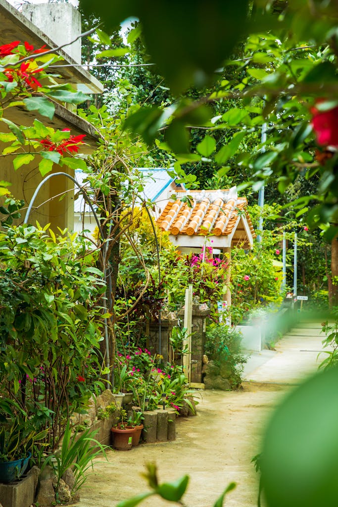 Empty walkway in greenery garden with houses