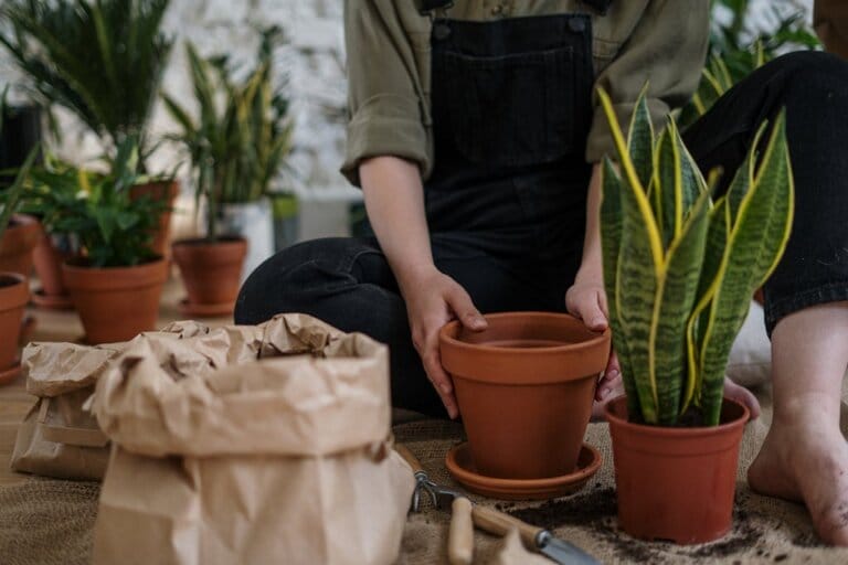 Neatly arranged potted herbs on a sunny windowsill, each labeled with the herb's name, showcasing a well-planned and maintained indoor apartment herb garden.