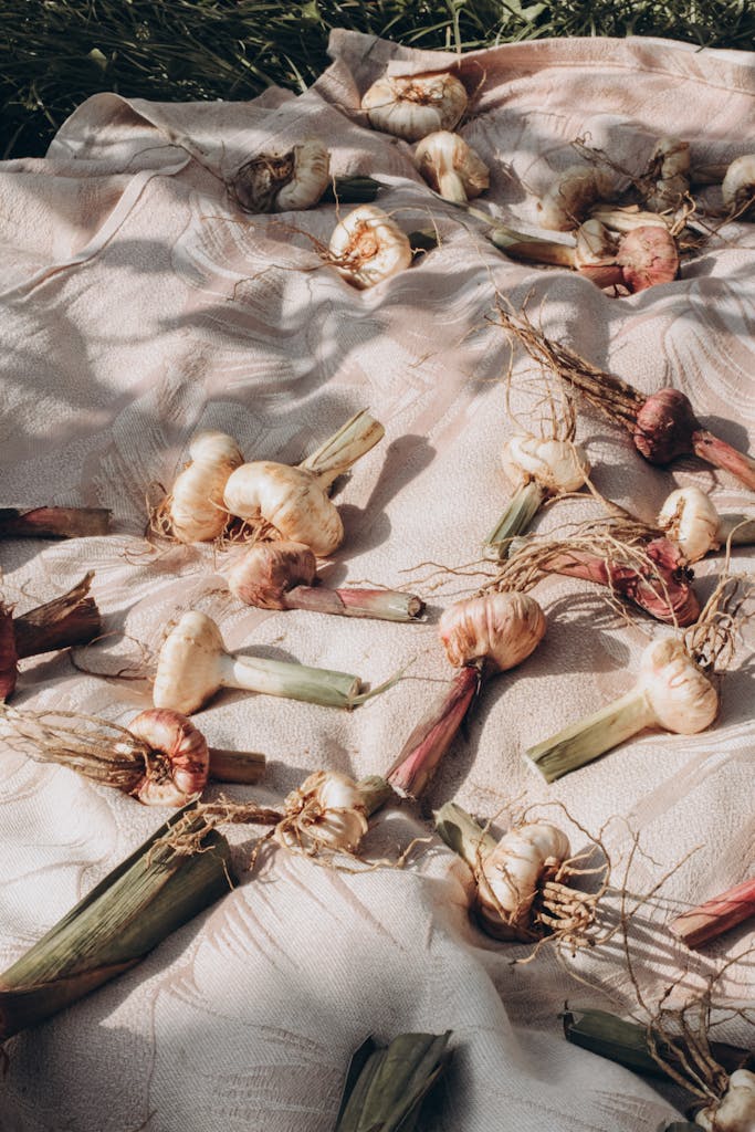 White and Brown Garlic on White Textile