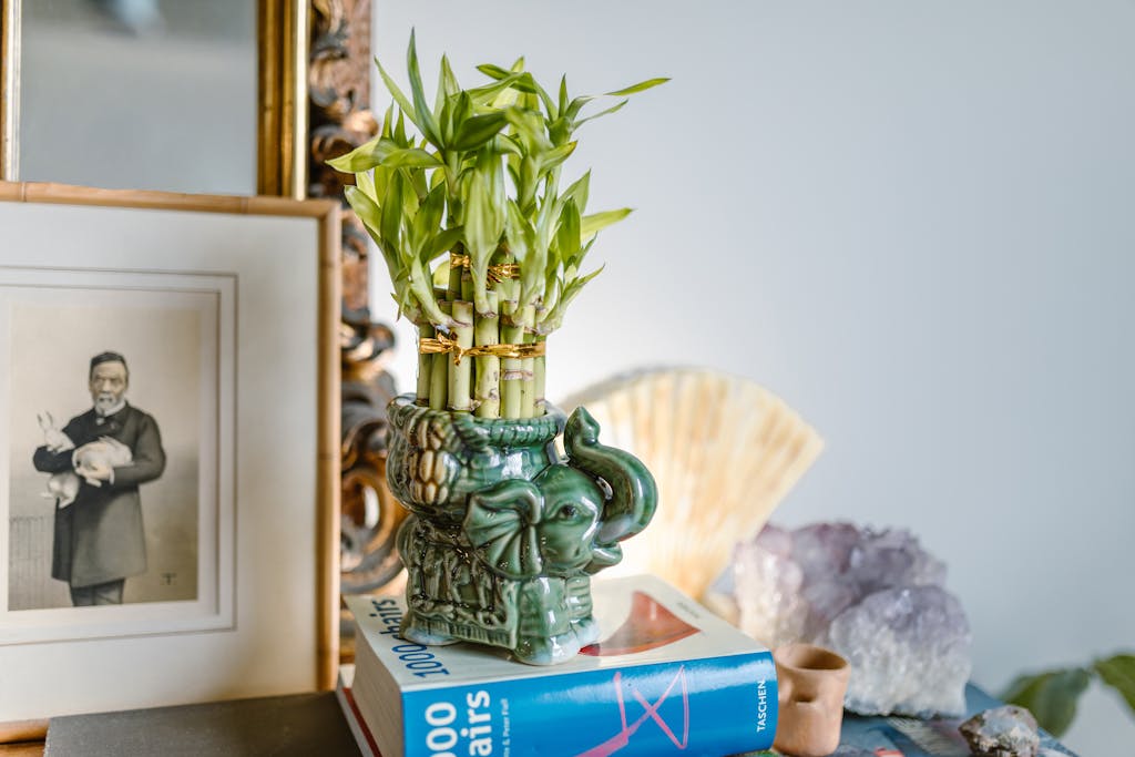 How to Prune a Lucky Bamboo Plant: Tips and Techniques 2 A feng shui inspired setup featuring an elephant vase, bamboo plant, books, and decorative items in a serene home decor setting.